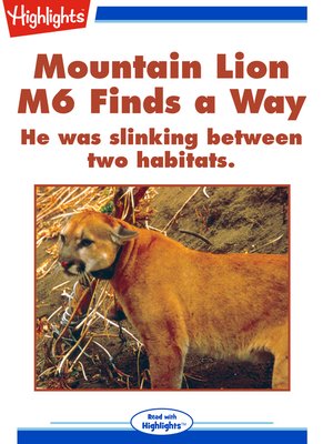 cover image of Mountain Lion M6 Finds a Way